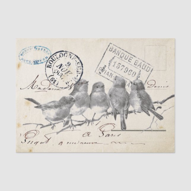 Carte Postale French Songbirds on a Branch Tissue Paper (Front)