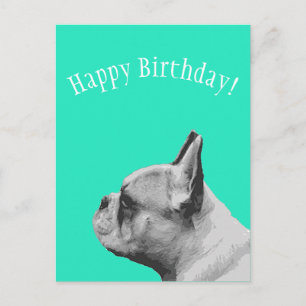 Carte Postale Frenchie Joyeux Anniversaire couleur aqua