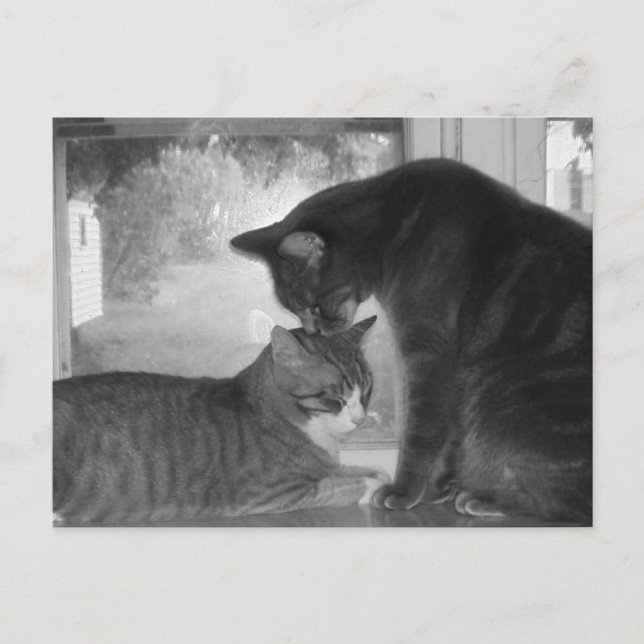 Carte postale Friends (Devant)