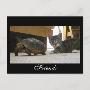 Carte Postale Friends Postcard