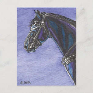 Carte postale Friesian Horse