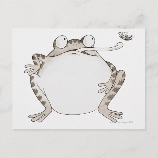 Carte Postale Frig. Regarder vers le haut (Devant)