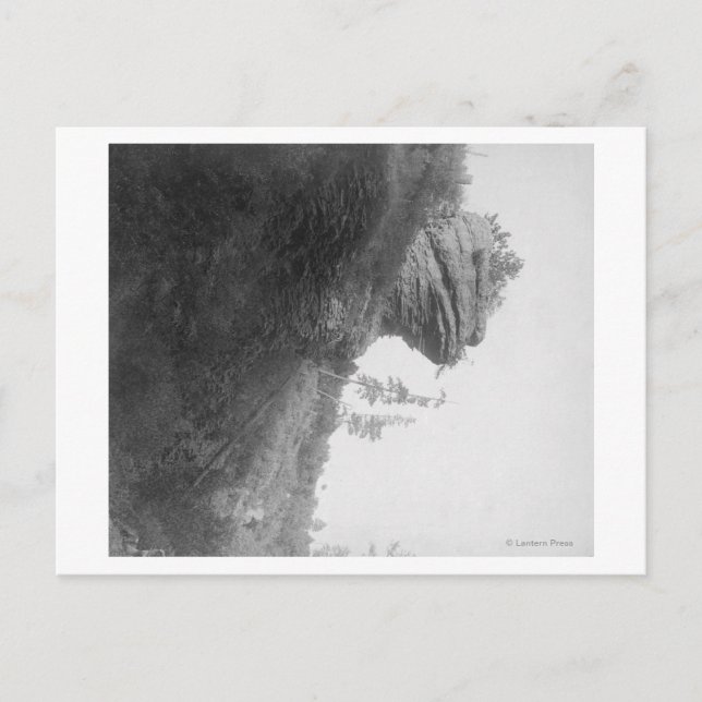 Carte Postale Frog's Head Rock sur Deadwood Road Photographie (Devant)