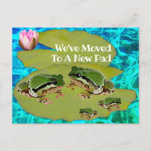 Carte Postale Frogs Humoristiques Lys Pad Nous Avons Déplacé Fai