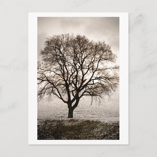 Carte Postale froid et agréable (Devant)