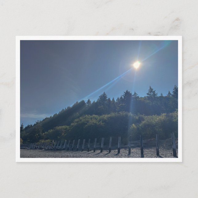 Carte Postale Front de mer  (Devant)