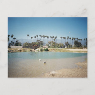 Carte Postale Front de plage