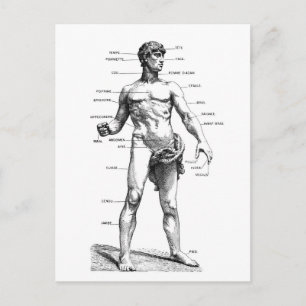 Carte Postale front masculin