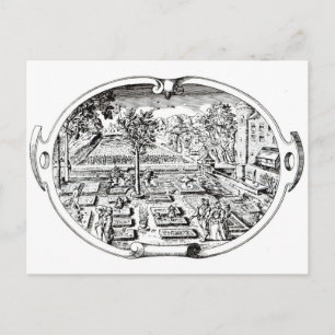 Carte Postale Frontispiece, de "The Herball", de John Gerard (