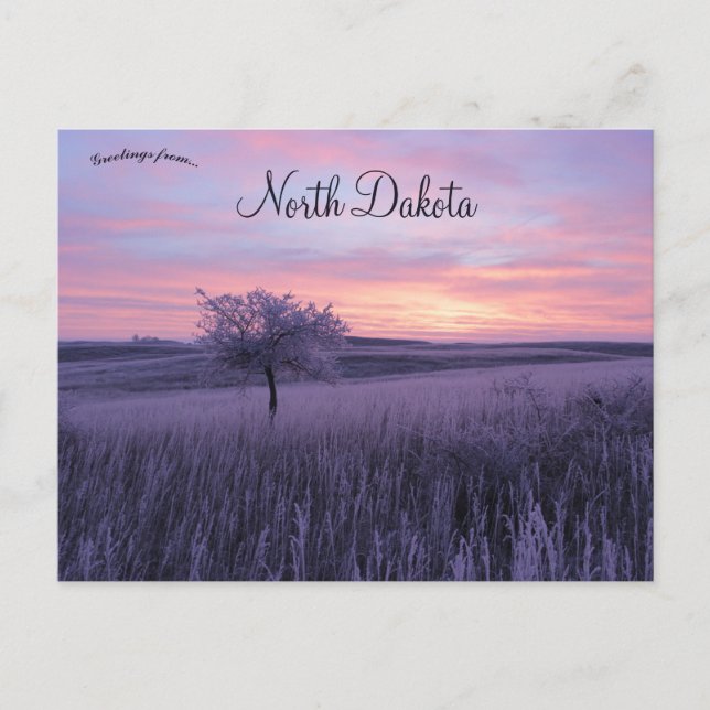 Carte Postale Frosty Erlenbusch Sunrise North Dakota (Devant)