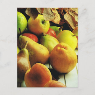 Carte Postale Fruit and vegetables, Apples and pears