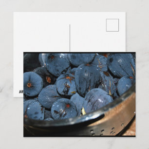 Carte Postale Fruit de figue dans passoire