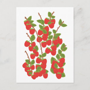 Carte Postale Fruit de framboise