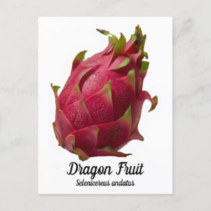 Carte Postale Fruit dragon