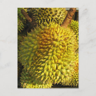 Carte Postale Fruit durian