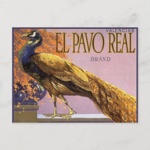 Carte Postale Fruit vintage Crate Étiquette Art El Pavo Peacock 
