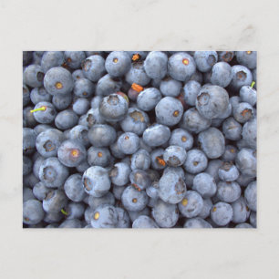 Carte Postale fruits aux bleuets, photo prise dans une ferme aux