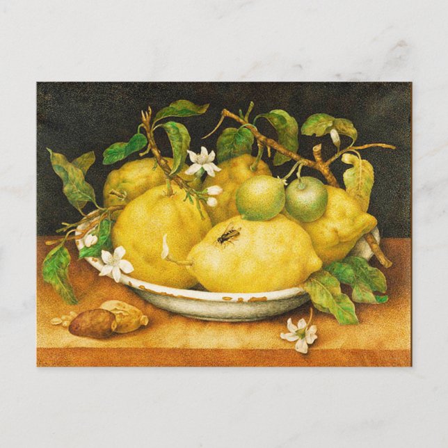 CARTE POSTALE FRUITS DE SAISON LÉMONS ET FLEURS BLANCHES (Devant)