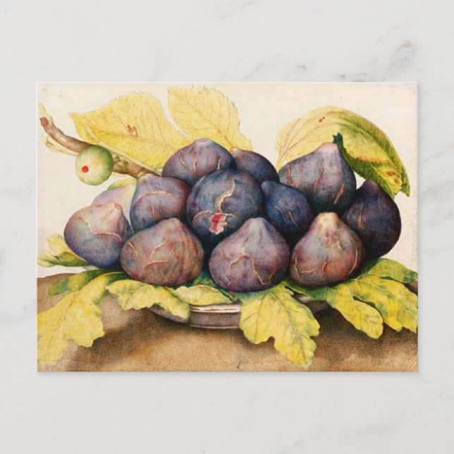 CARTE POSTALE FRUITS DE SAISON / PLAQUE AUX FIGUES ET FEUILLES V (Devant)