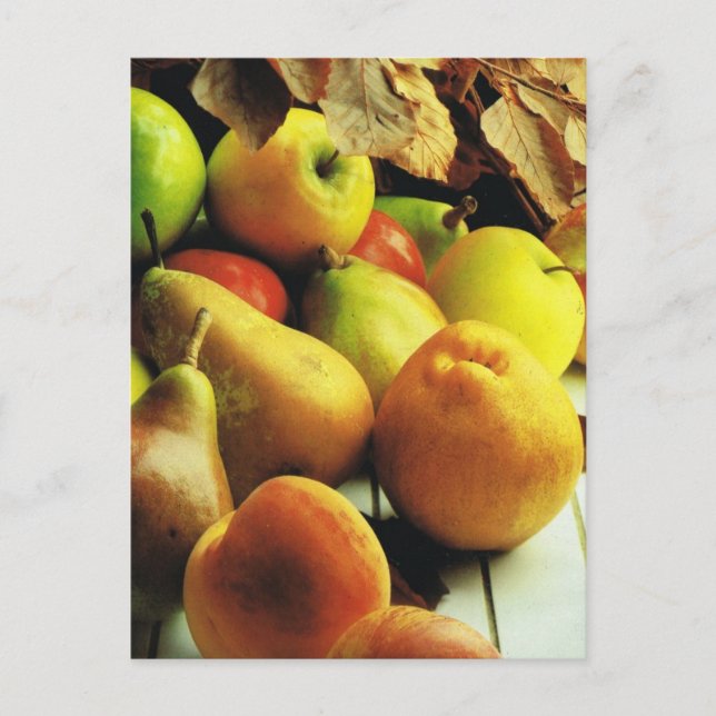 Carte Postale Fruits et légumes, pommes et poires (Devant)