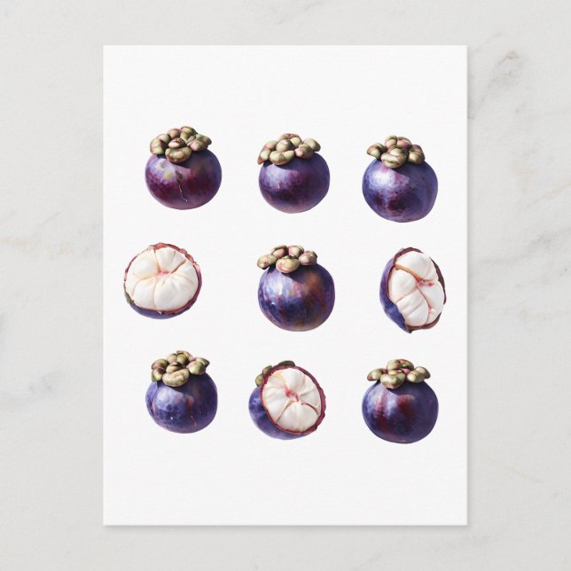 Carte Postale Fruits tropicaux doux de mangoustan (Devant)