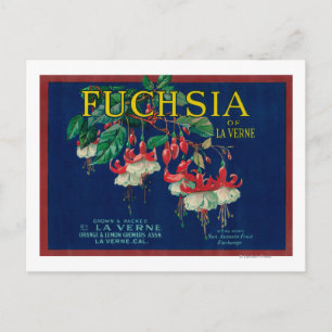 Carte Postale Fuchsia Lemon LabelLa Verne, CA