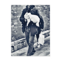 fullsizeoutput_c78 Poméranien noir et blanc