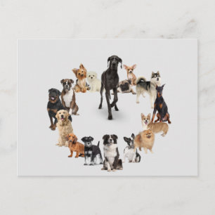 Carte Postale Fun Dog Breed Pet Animals Large Clock Pocket Watch
