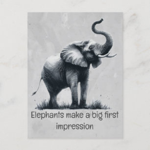 Carte Postale Fun Elephant Big First Impression Citation Animal 