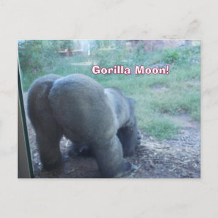 Carte postale Fun Gorilla Moon