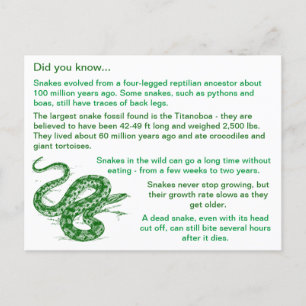 Carte Postale Fun & Intéressant Snake Faits