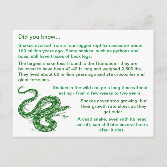 Carte Postale Fun & Intéressant Snake Faits (Devant)