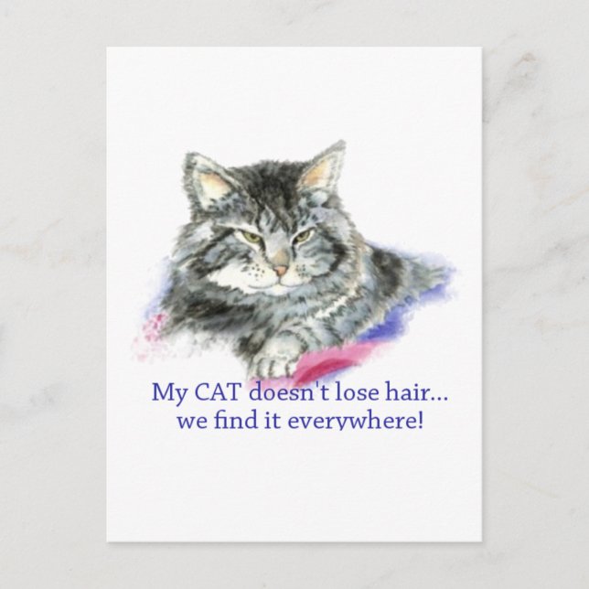 Carte Postale Fun My Cat ne perd pas les cheveux, c'est partout (Devant)