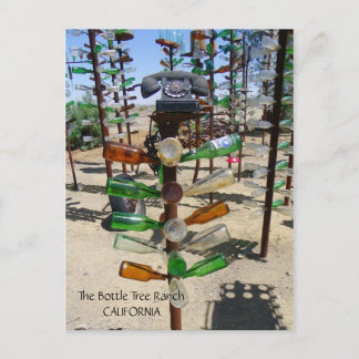 Carte postale Funky Bottle Tree Ranch !