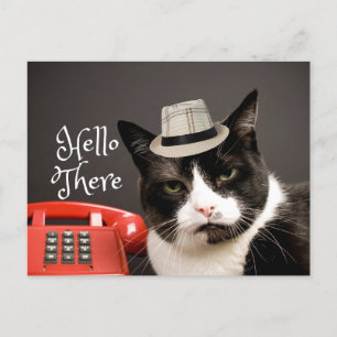 Carte Postale Funky Hello There Angry Black & White Cat
