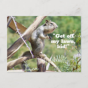 Carte postale Funny Angry Squirrel