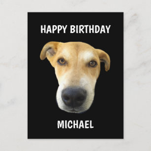 Carte Postale Funny Anniversaire Chien Chien Chien Visage Person