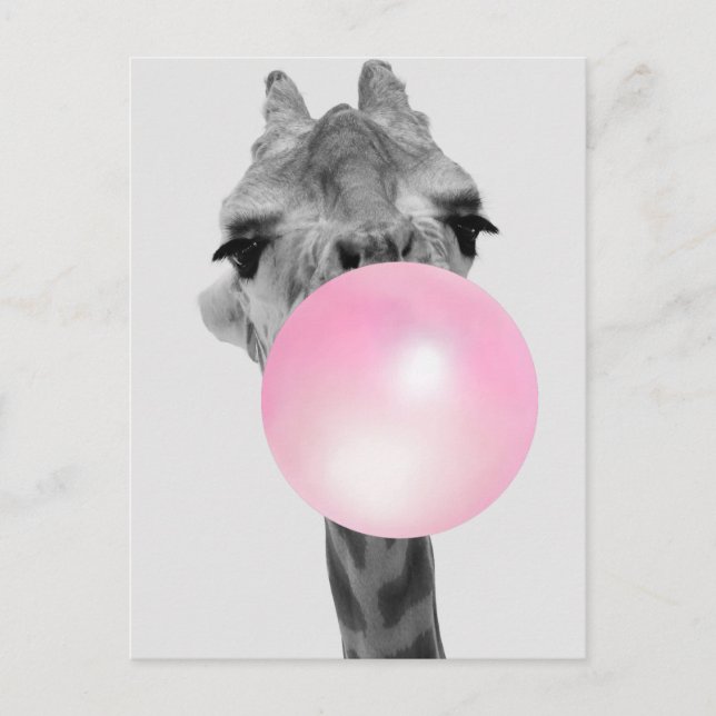 Carte Postale Funny Black and White Giraffe avec Bubble Gum (Devant)
