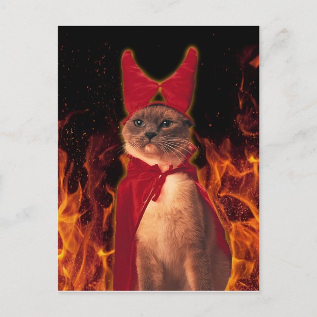 Carte Postale Funny Cat à Halloween (Devant)