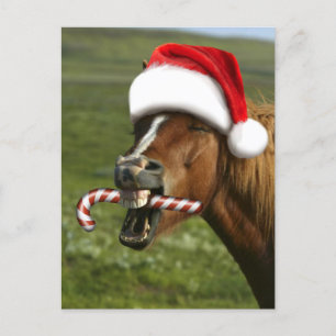 Carte Postale Funny Christmas horse with Santa a smiling