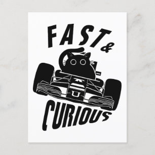 Carte Postale Funny Curieux voiture voiture voiture chat