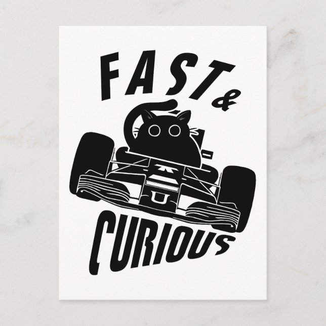Carte Postale Funny Curieux voiture voiture voiture chat (Devant)