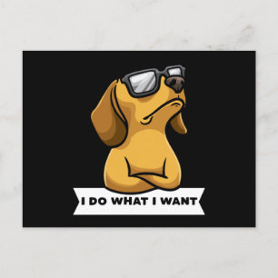 Carte Postale Funny Dachhund chien drôle Idée cadeau