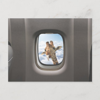 Carte Postale Funny Giraffe