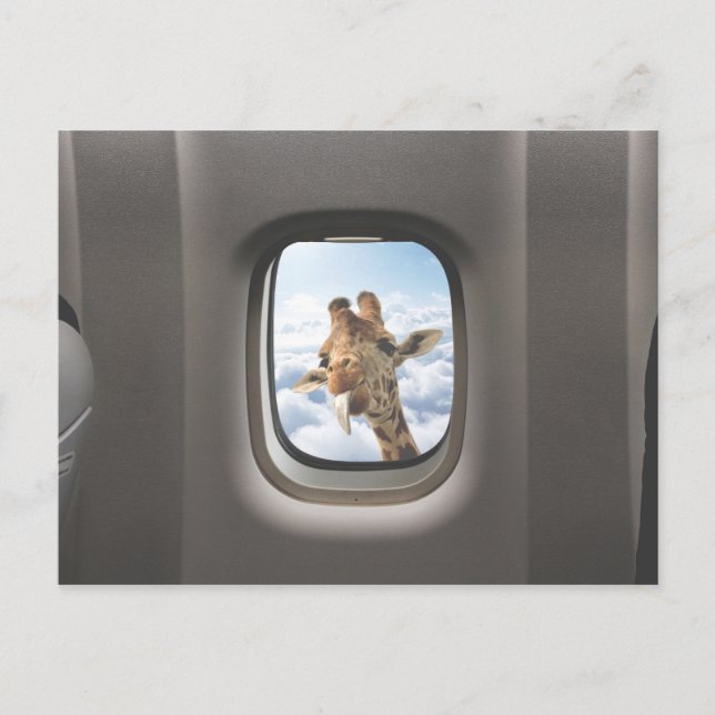 Carte Postale Funny Giraffe (Devant)