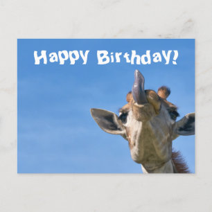 Carte Postale Funny Giraffe Joyeux anniversaire
