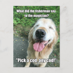 Carte Postale Funny Golden Retriever Fisherman Plaisanterie mème