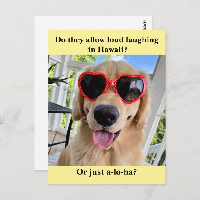 Carte Postale Funny Golden Retriever Hawaii Joke Meme (Devant / Derrière)