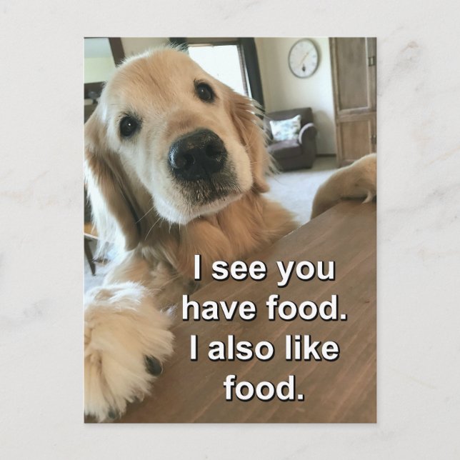 Carte Postale Funny Golden Retriever Je Vois Que Vous Avez Mème  (Devant)
