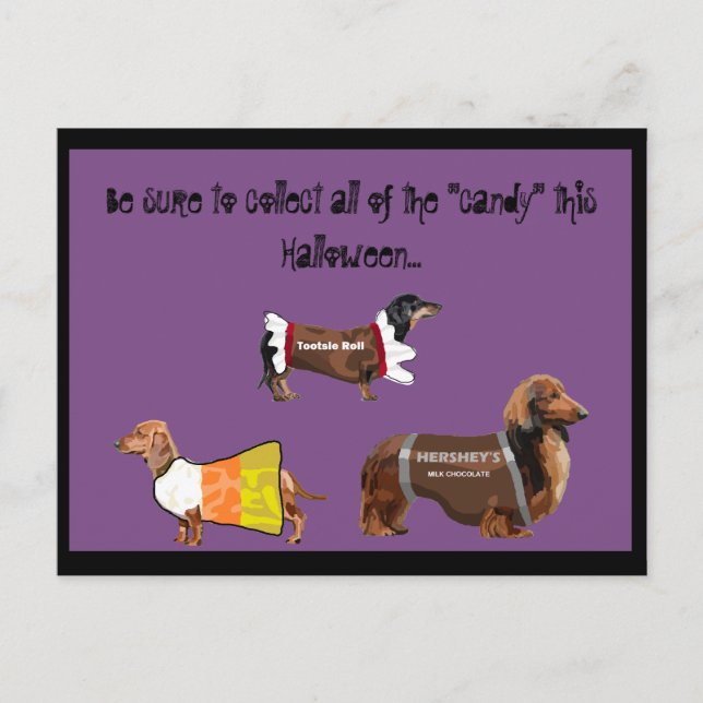 Carte Postale Funny Halloween Recueillir des bonbons Chiens (Devant)